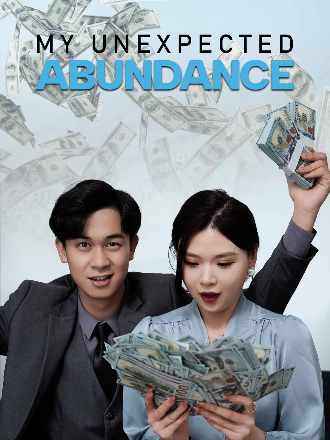 My Unexpected Abundance poster