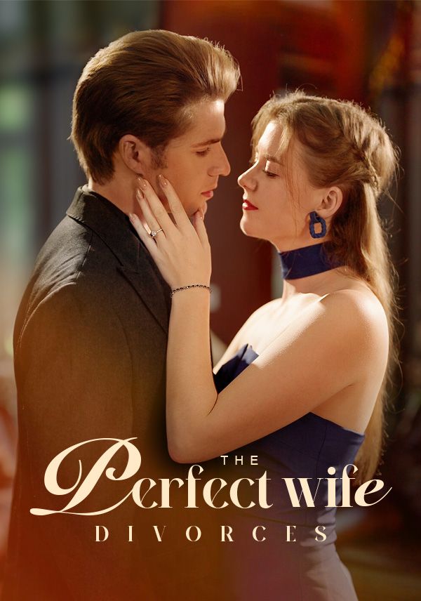 The Perfect Wife Divorces poster