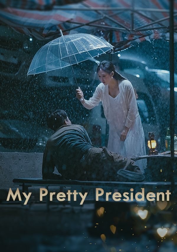 My Pretty President poster