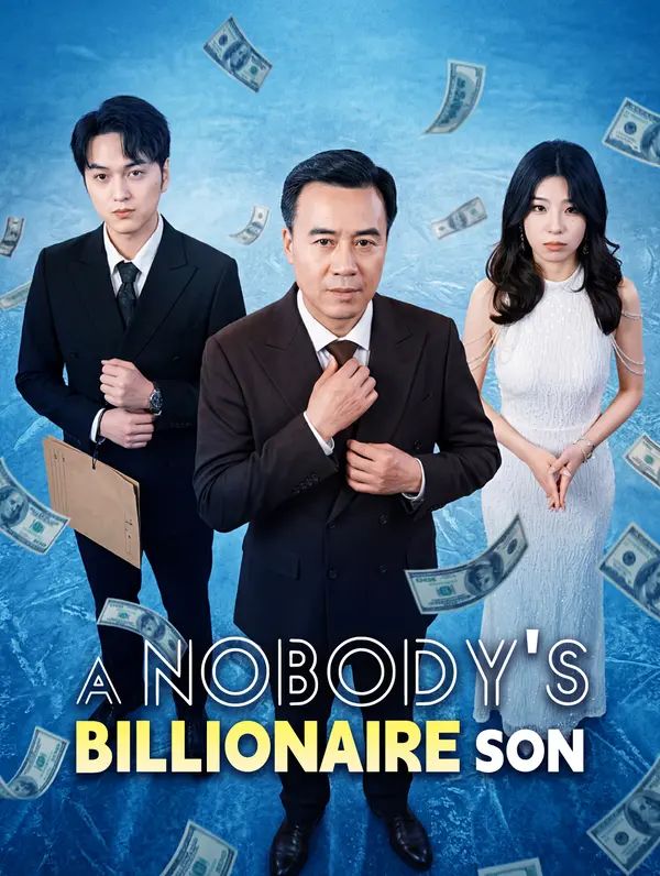 A Nobody's Billionaire Son poster