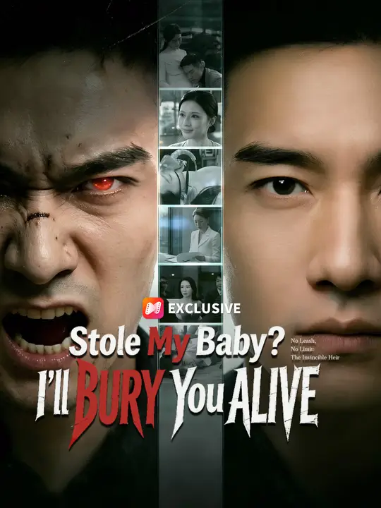 Stole My Baby? I'll BURY You ALIVE poster