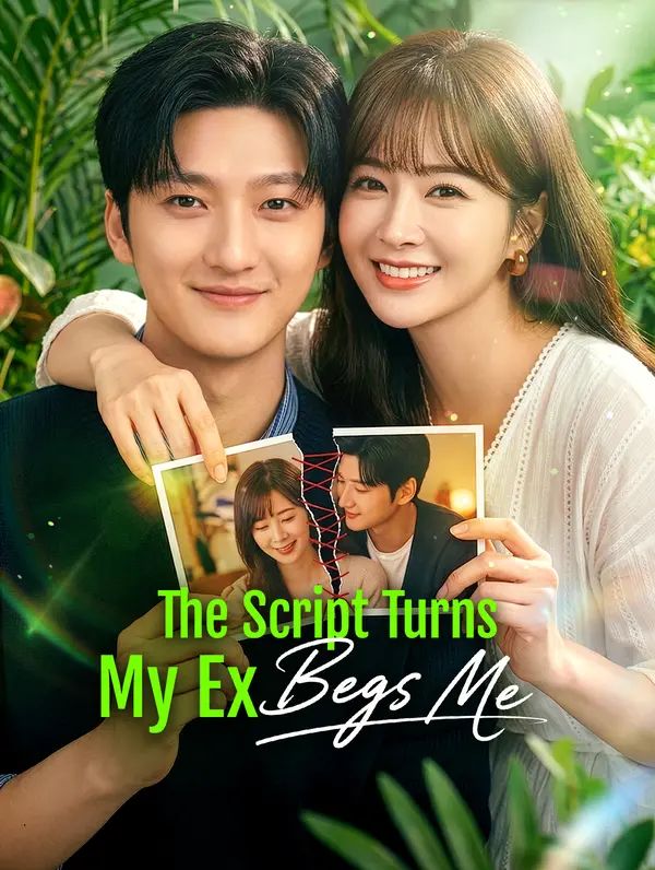The Script Turns, My Ex Begs Me poster