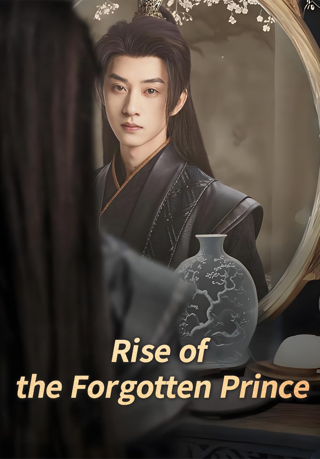 Rise of the Forgotten Prince poster