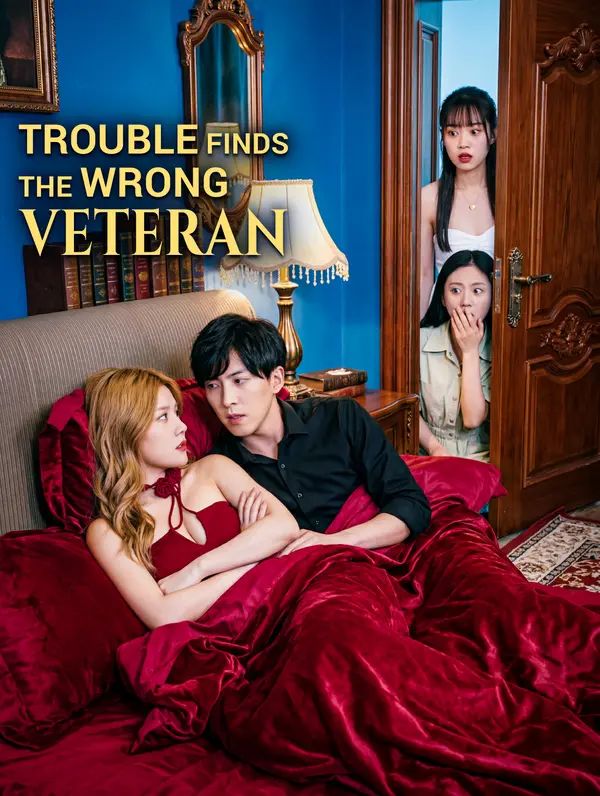 Trouble Finds the Wrong Veteran poster