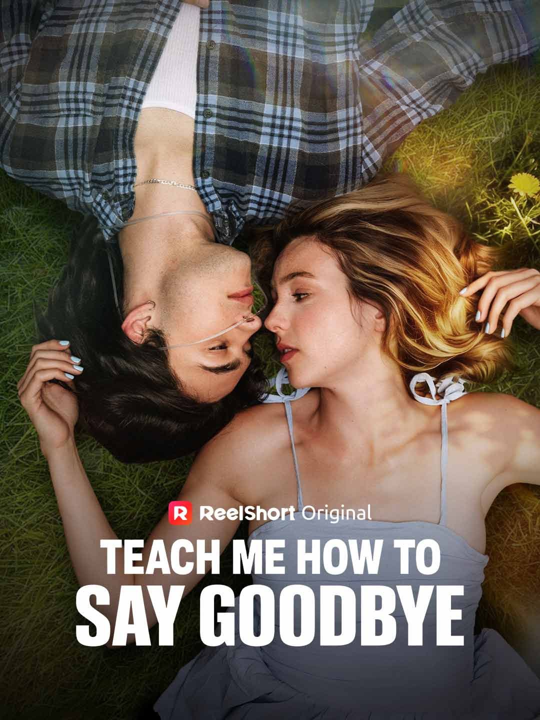 Teach Me How to Say Goodbye poster