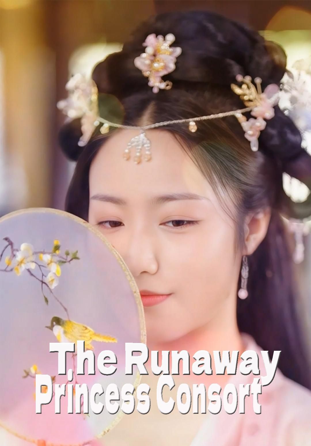 The Runaway Princess Consort poster