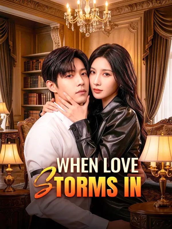 Poster for When Love Storms In