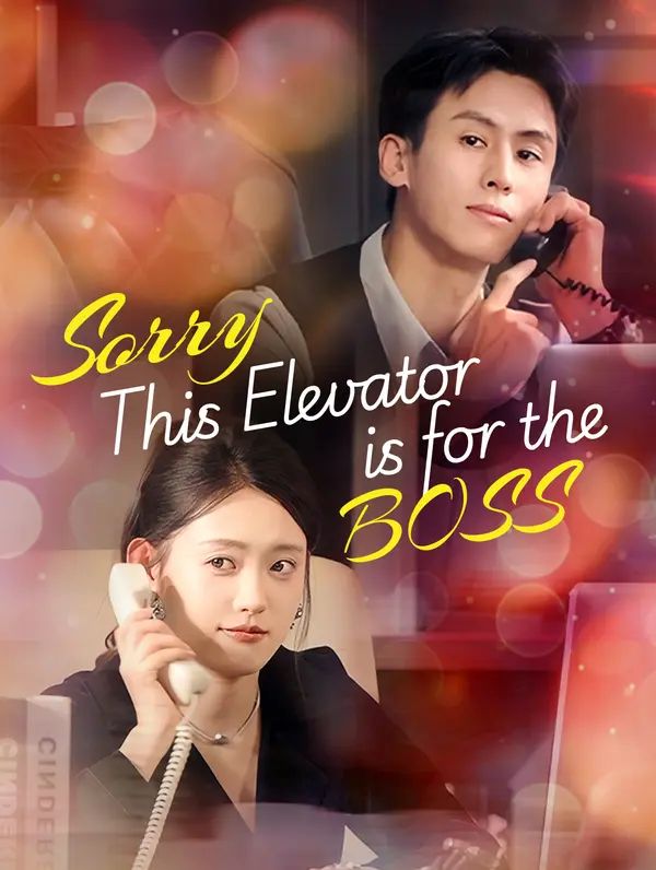 Poster for Sorry, This Elevator is for the Boss