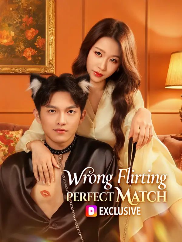 Wrong Flirting, Perfect Match poster