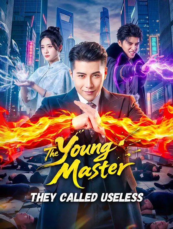 The Young Master They Called Useless poster