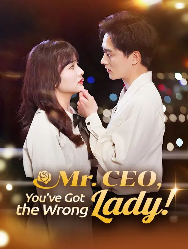 Poster for Mr. CEO, You've Got the Wrong Lady!