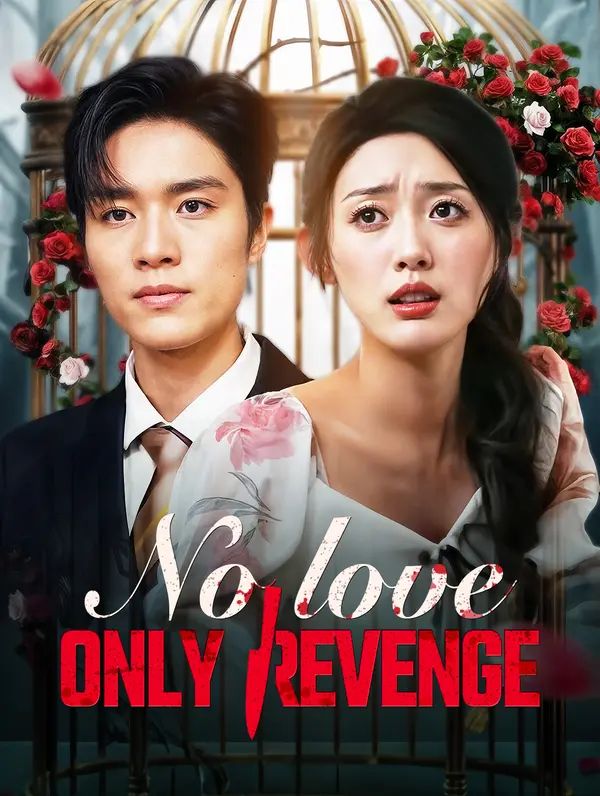 Poster for No Love, Only Revenge