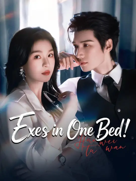 Poster for (Dubbed) Exes in One Bed!