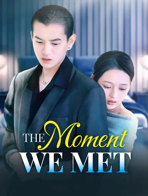 The Moment We Met poster