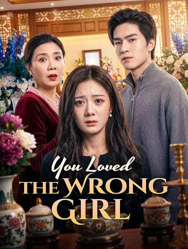 Poster for You Loved the Wrong Girl