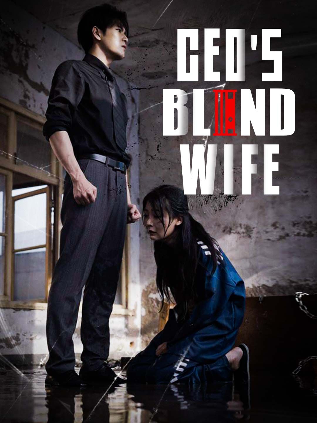Poster for CEO's Blind Wife