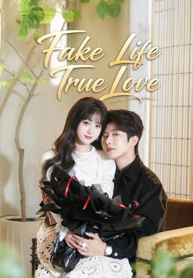 Poster for Fake Life True Love