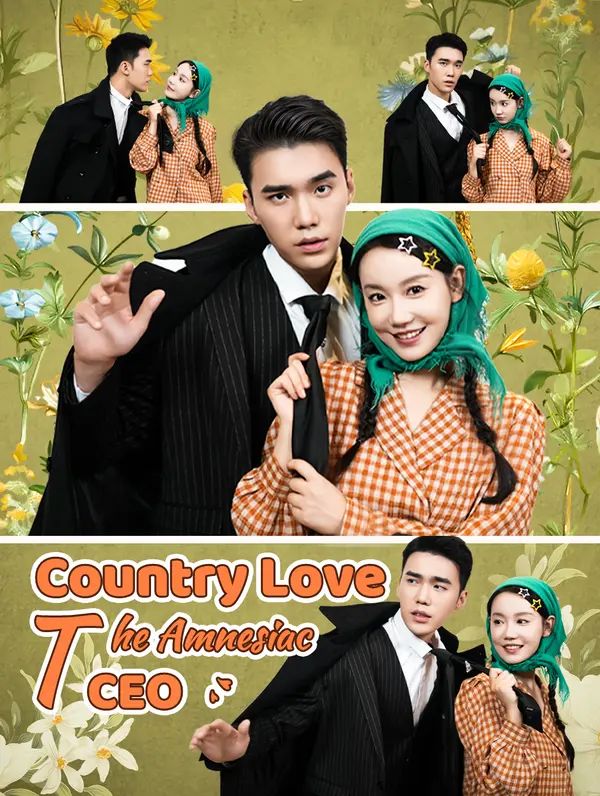 Country Love: The Amnesiac CEO poster