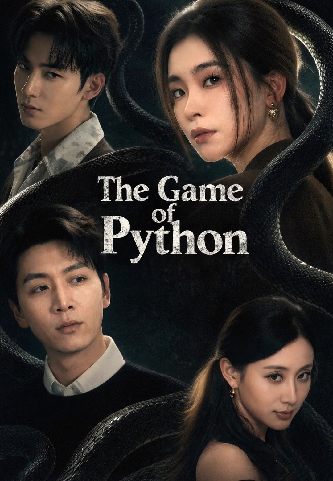 The Game of Python poster