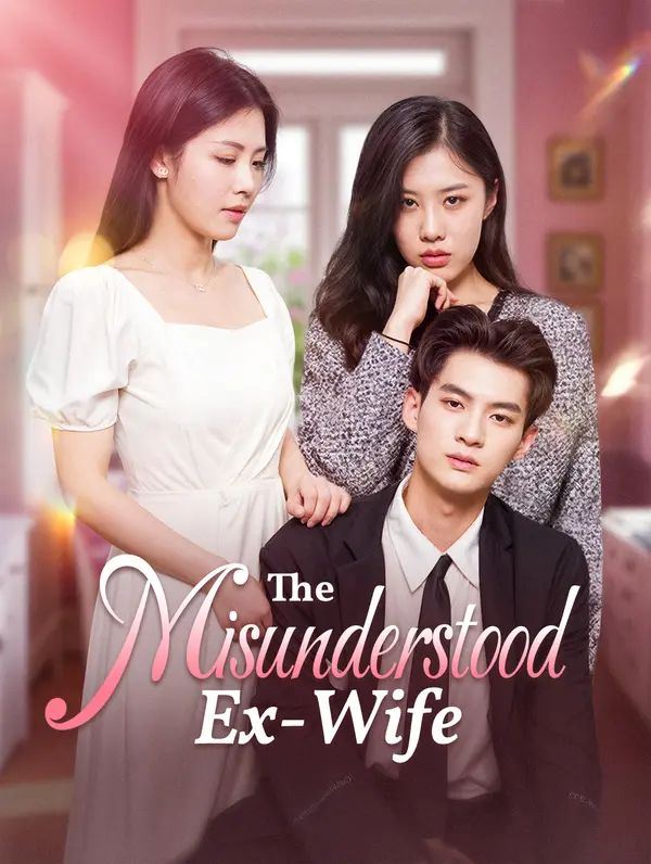 The Misunderstood Ex-Wife poster