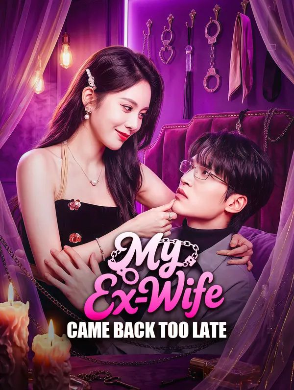 Poster for My Ex-Wife Came Back Too Late