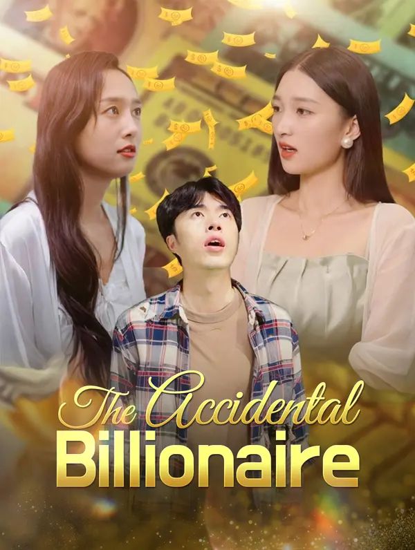 Poster for The Accidental Billionaire