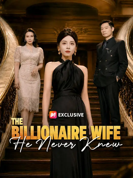 Poster for The Billionaire Wife He Never Knew