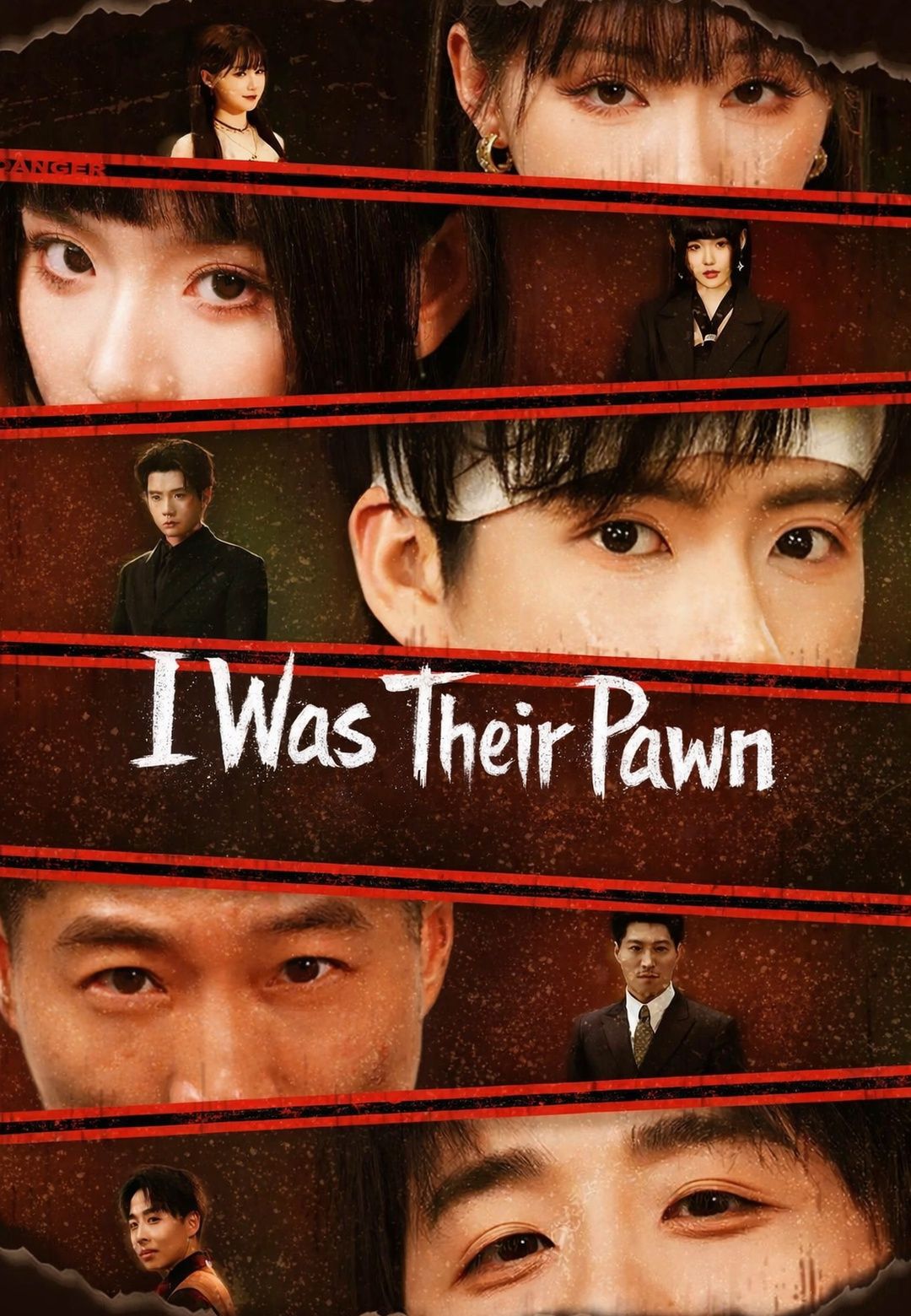I Was Their Pawn poster