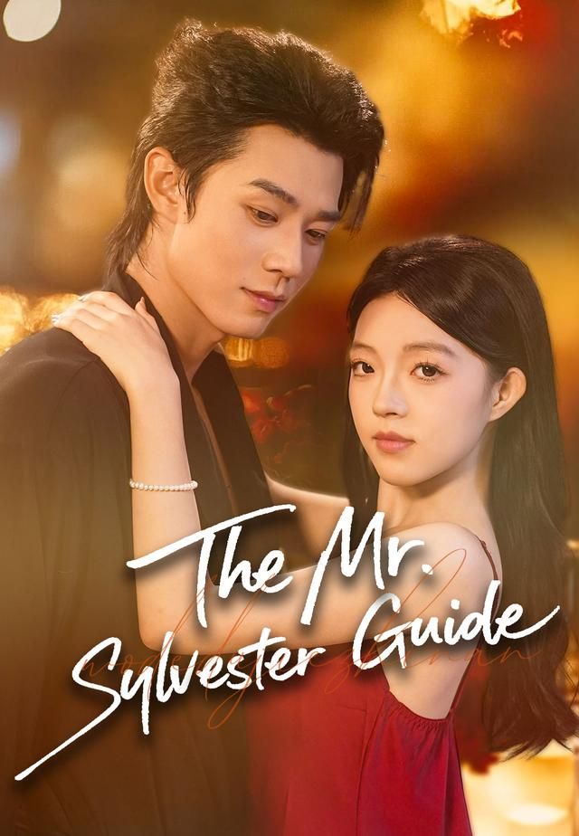 The Mr. Sylvester Guide poster