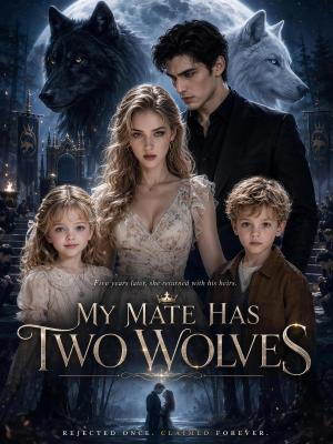 My Mate Has Two Wolves​ poster