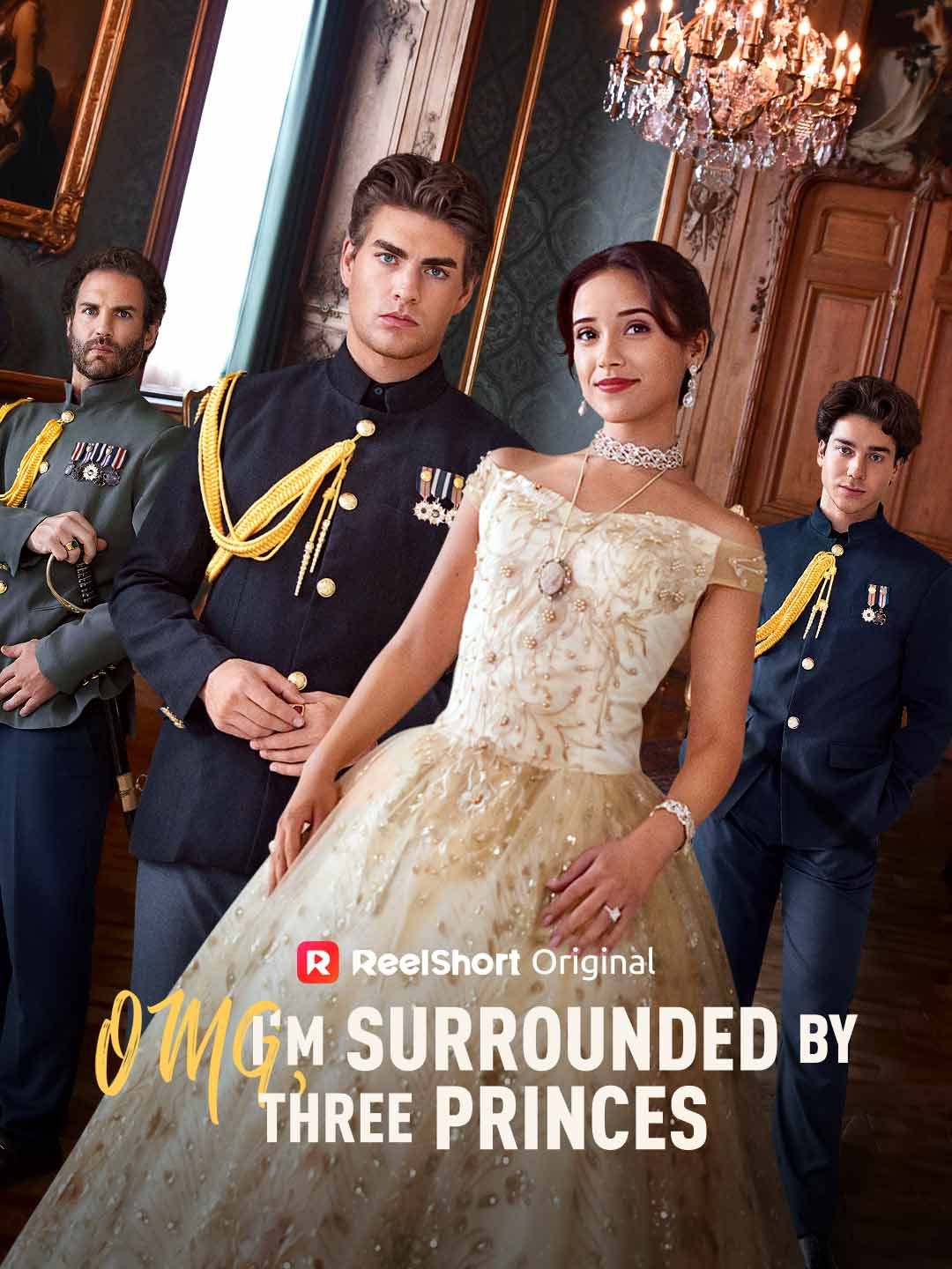 OMG, I'm Surrounded by Three Princes poster