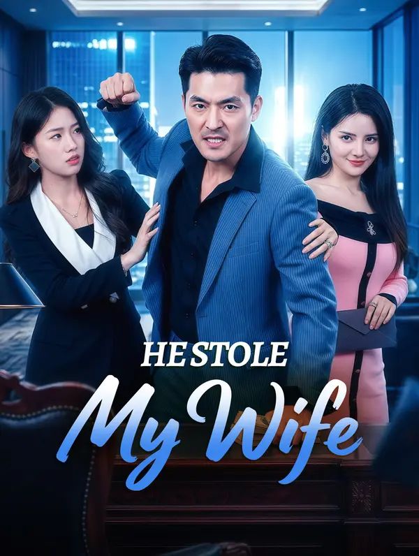 He Stole My Wife poster