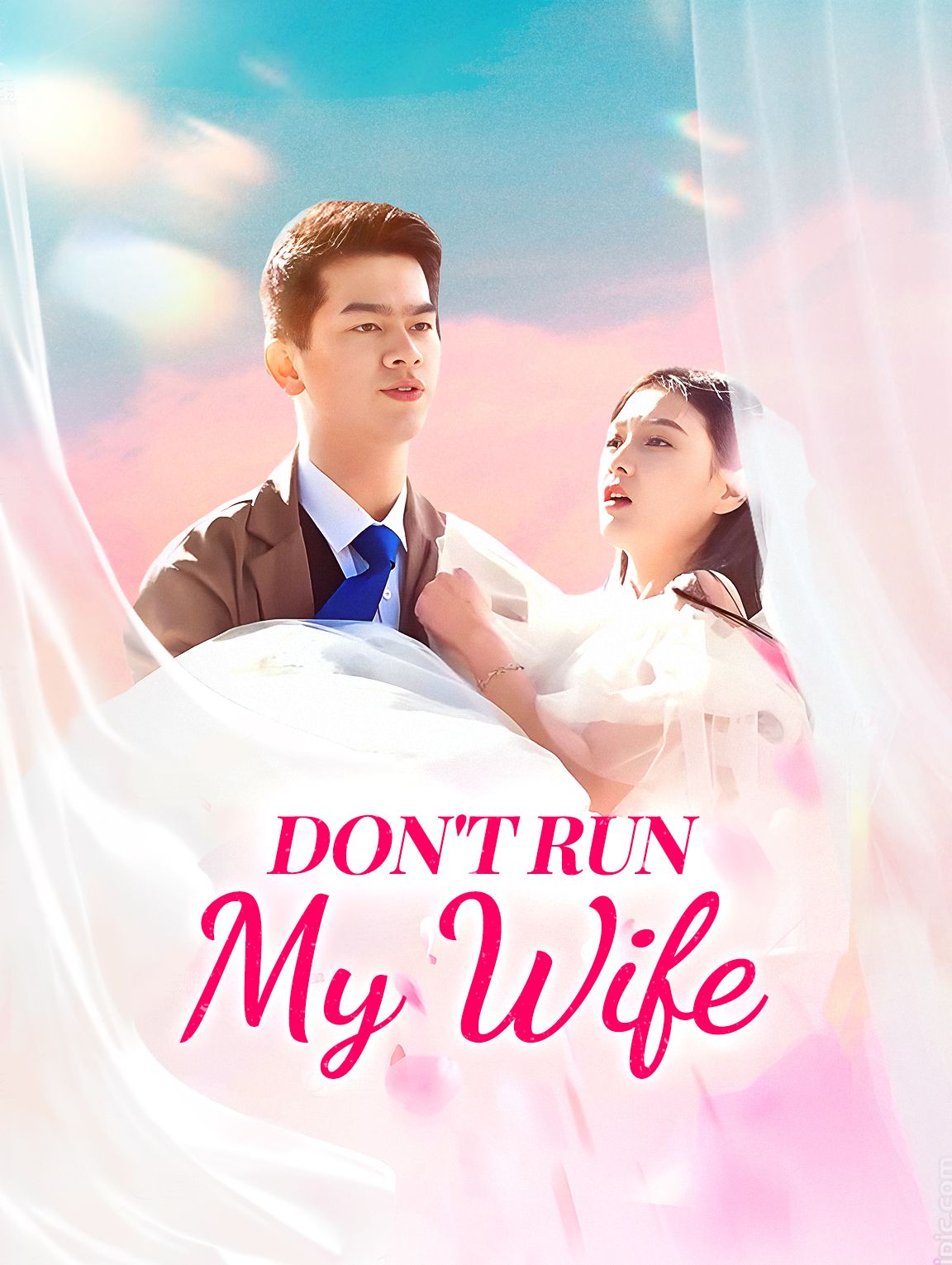 Don't Run, My Wife poster