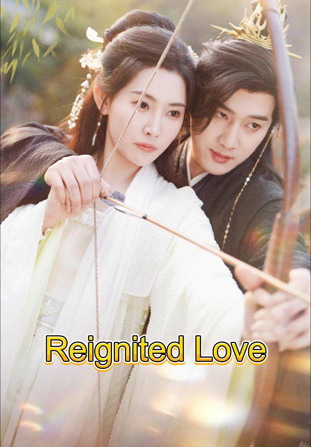 Poster for Reignited Love