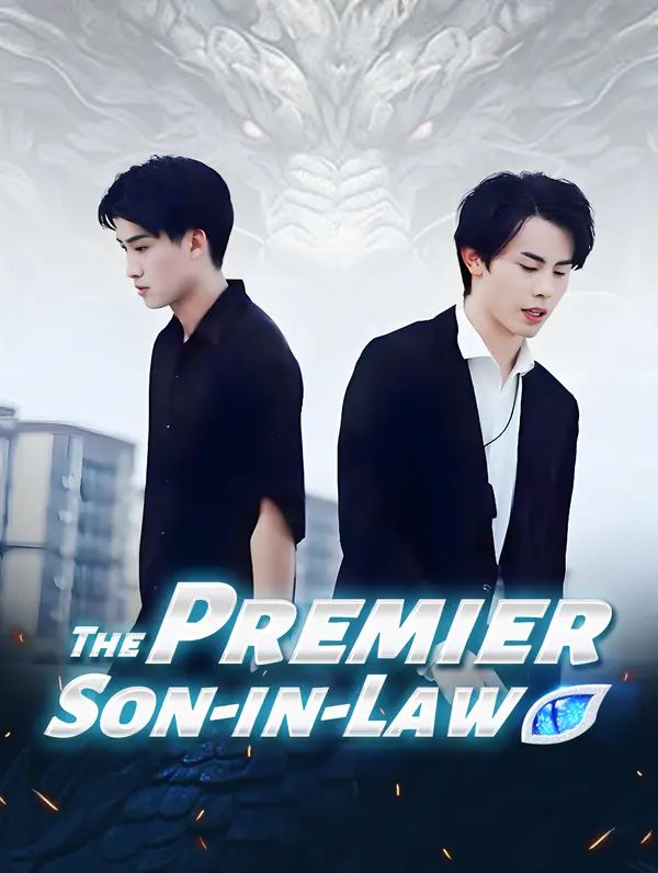 The Premier Son-in-Law poster