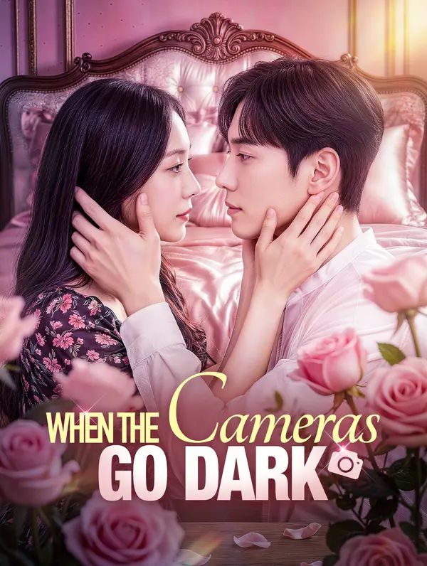 Poster for When the Cameras Go Dark