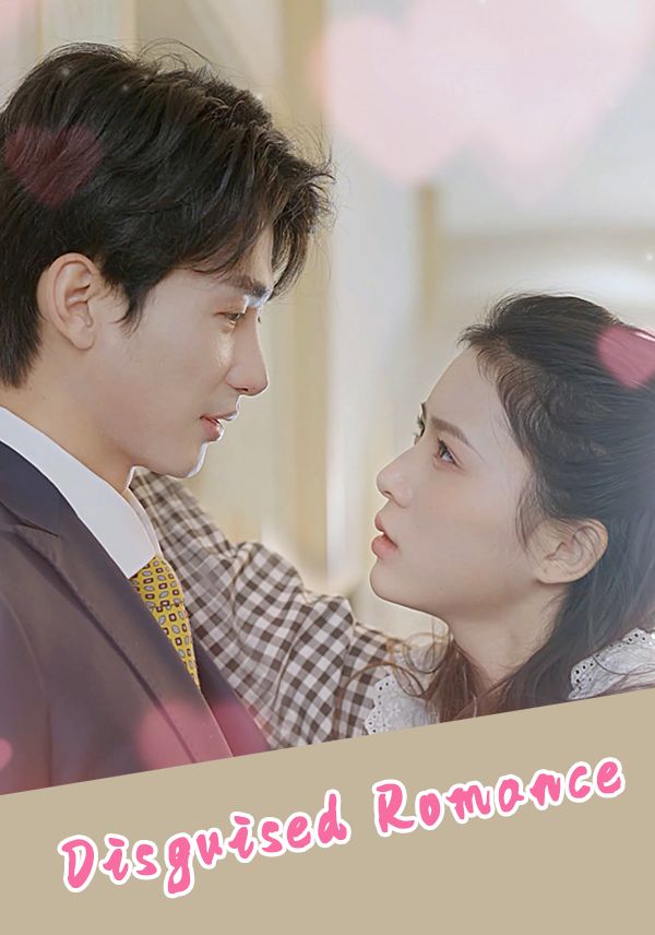Disguised Romance poster