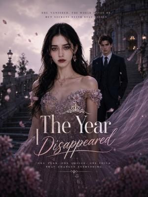 The Year I Disappeared poster