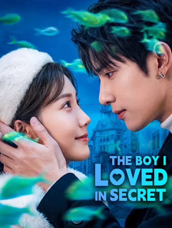 The Boy I Loved in Secret poster