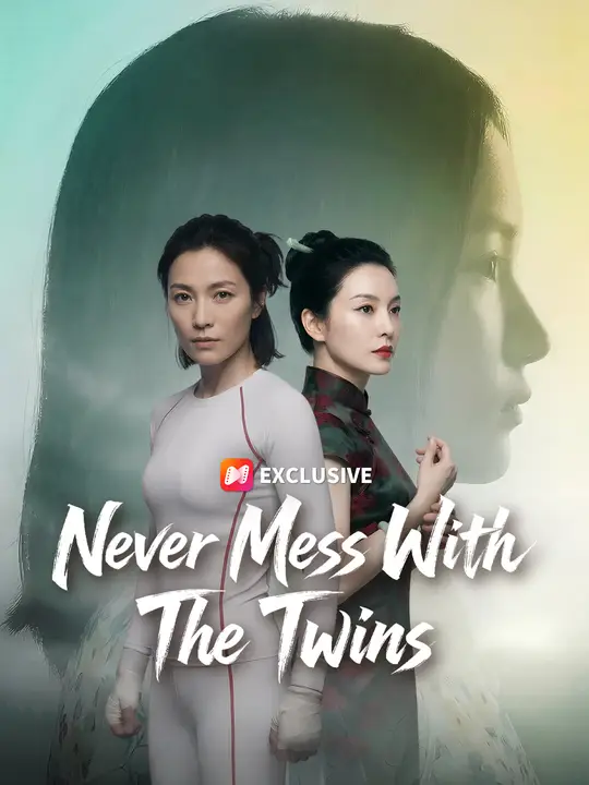 Poster for Never Mess With The Twins