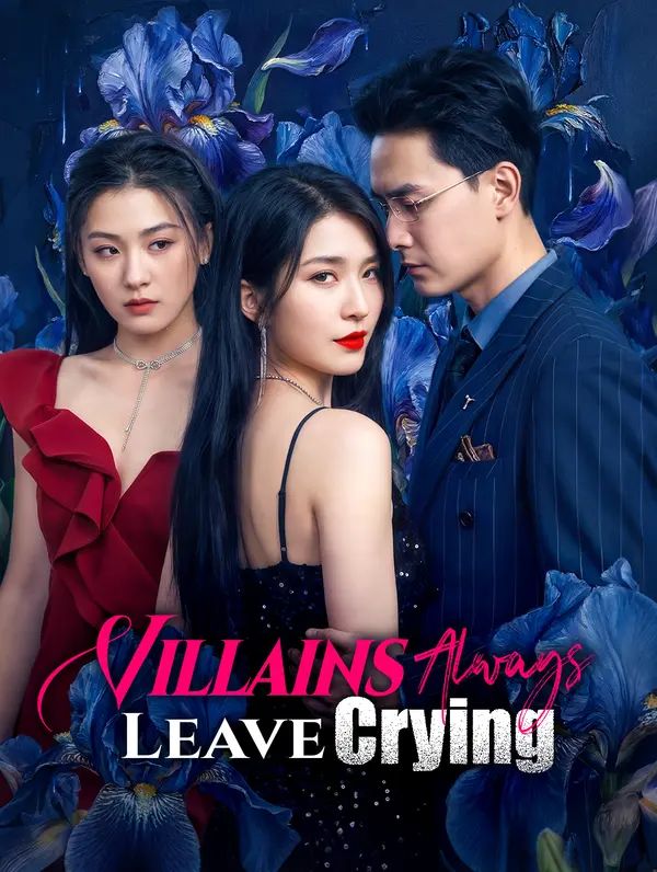 Villains Always Leave Crying poster