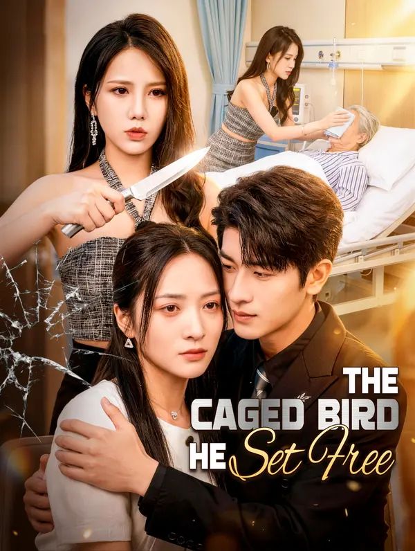 The Caged Bird He Set Free poster