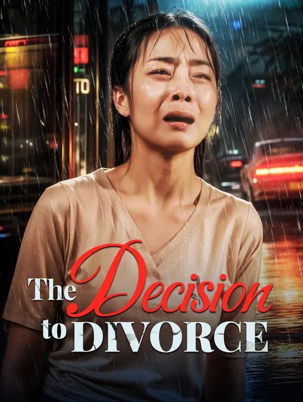 The Decision to Divorce poster