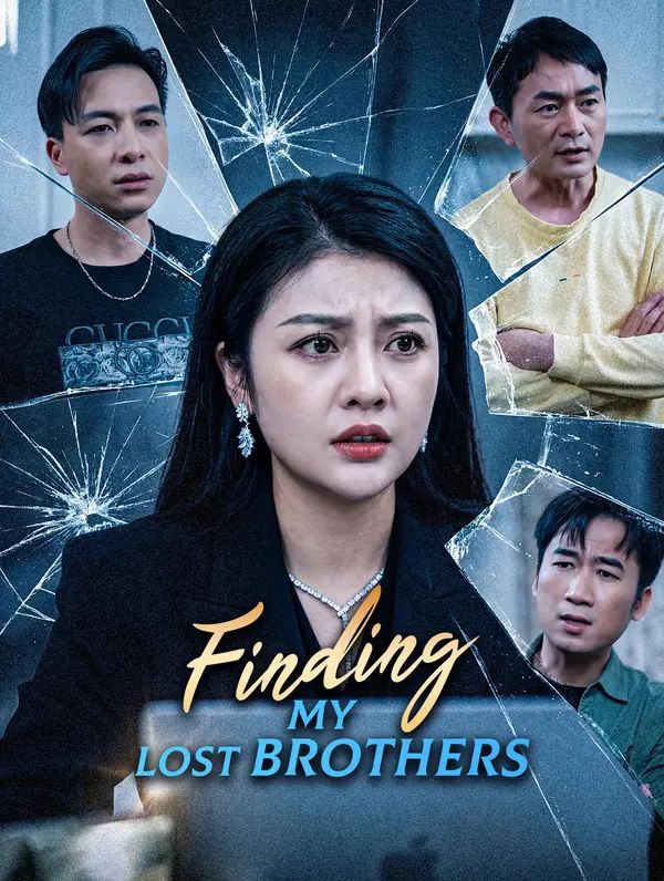 Finding My Lost Brothers poster