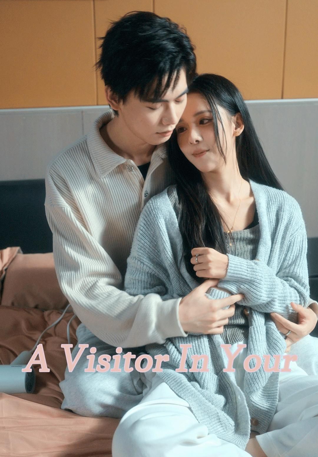 A Visitor In Your Life poster