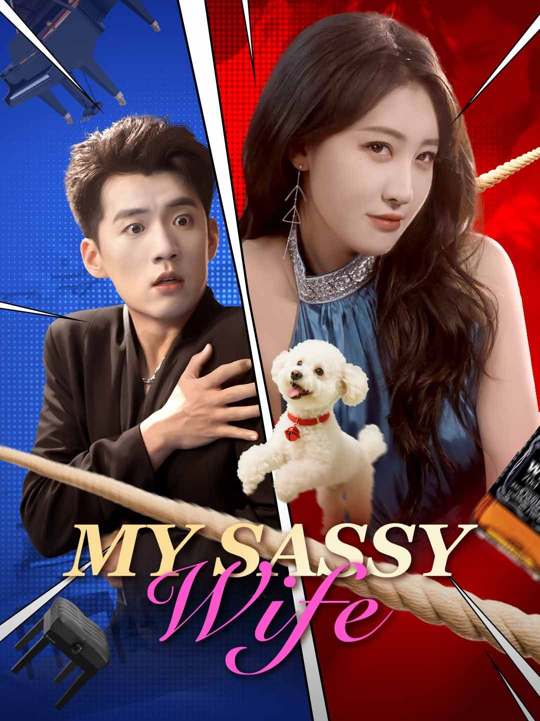 Poster for My Sassy Wife