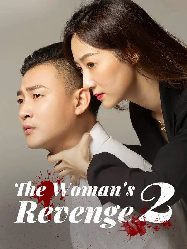 The Woman's Revenge 2 poster