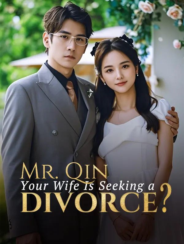 Poster for Mr. Qin, Your Wife Is Seeking a Divorce?
