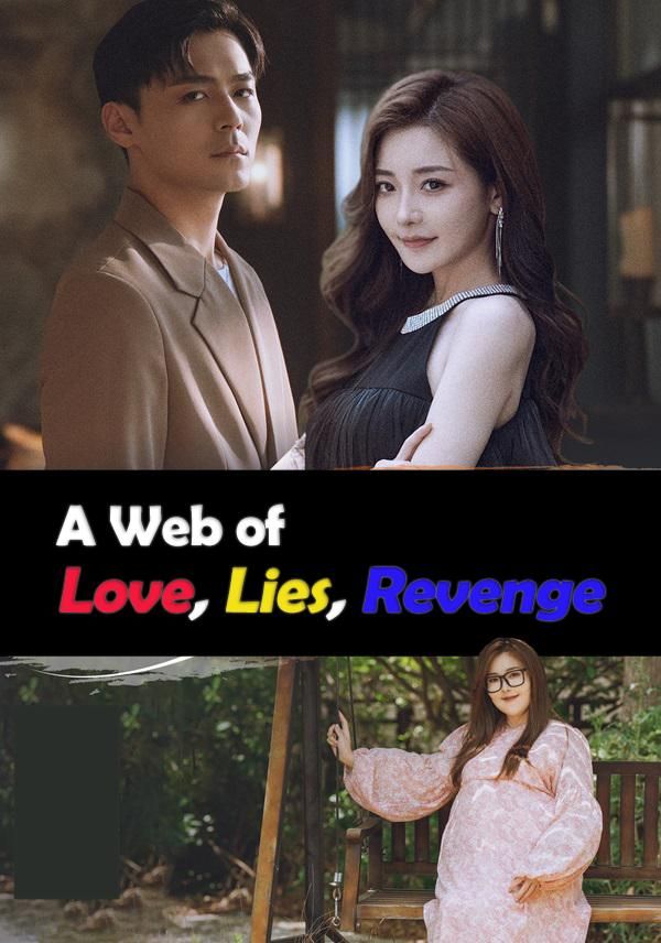 Poster for A Web of Love, Lies, Revenge
