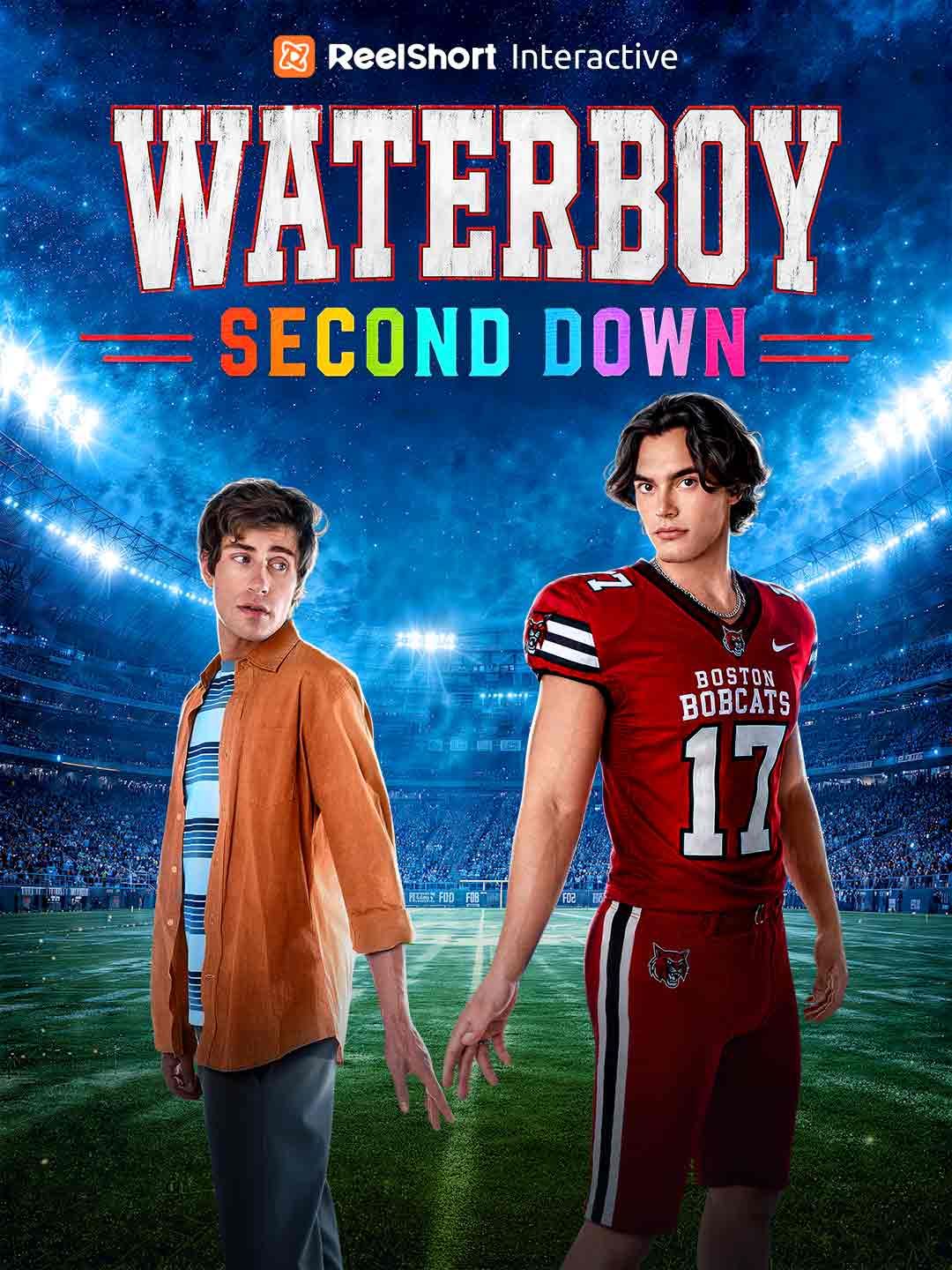 Poster for Waterboy: Second Down